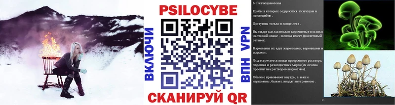 Галлюциногенные грибы MAGIC MUSHROOMS  Купить  Пудож 