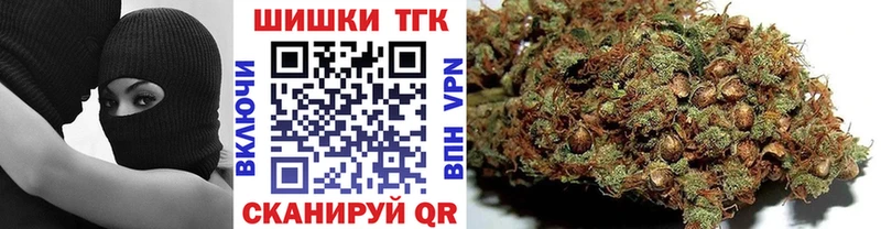 Конопля сатива  Купить где  Пудож 